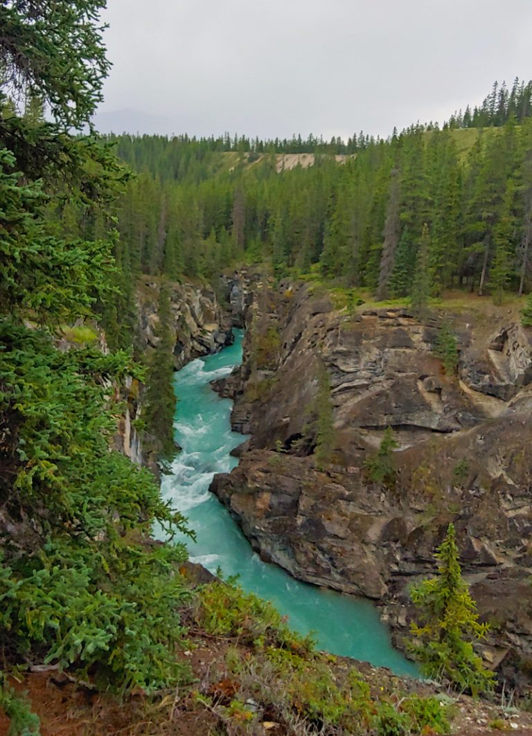 Siffleur Falls And Meadow Hike - Wander Woman Travel Magazine